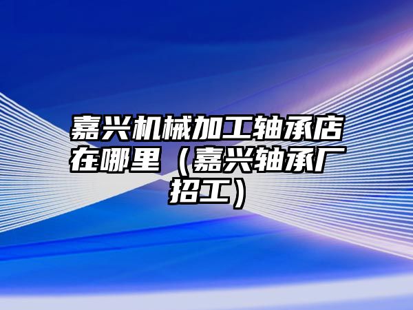 嘉興機(jī)械加工軸承店在哪里（嘉興軸承廠招工）