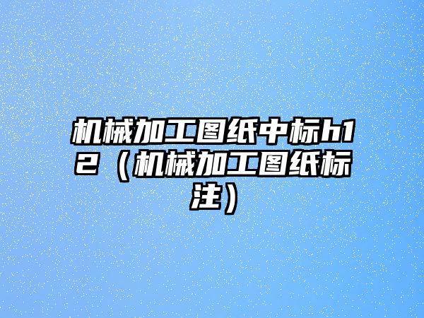 機械加工圖紙中標h12（機械加工圖紙標注）