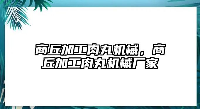 商丘加工肉丸機械,，商丘加工肉丸機械廠家