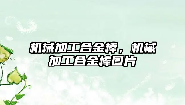 機械加工合金棒,，機械加工合金棒圖片