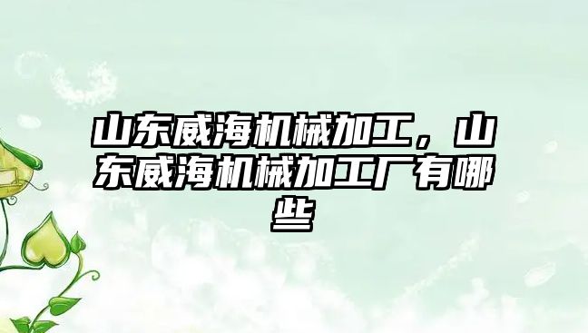 山東威海機械加工，山東威海機械加工廠有哪些